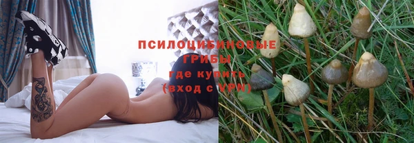 хмурый Алексеевка